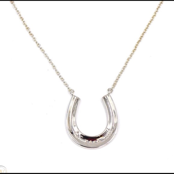 Silver Horseshoe Necklace 